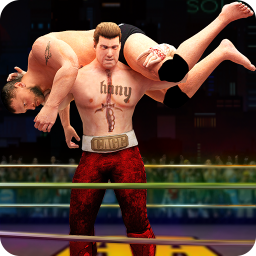 دانلود Beat Em Up Wrestling Game