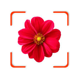 دانلود Plant App - Identifier & Care