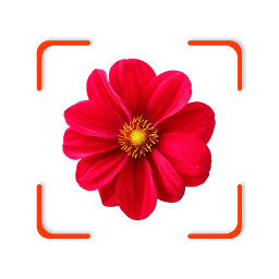 دانلود Plant App - Identifier & Care دانلود Plant App - Identifier & Care