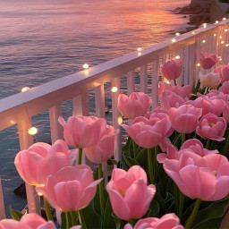دانلود Flowers Wallpaper
