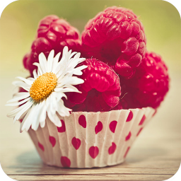 دانلود Fruit Wallpapers