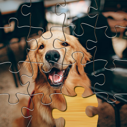 دانلود Jigsaw Go - Classic Jigsaw Puz
