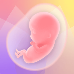 دانلود Pregnancy Tracker App | Glow