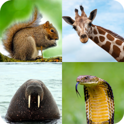 دانلود Animal Quiz: Guess the Animal