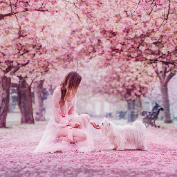 دانلود Girly Wallpapers for Girls