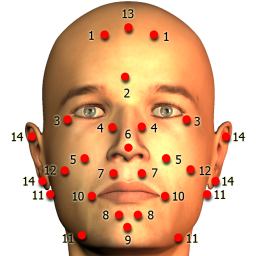 دانلود Massage Body Spots