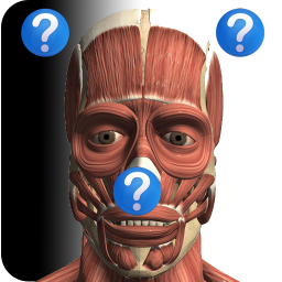 دانلود Anatomy Quiz