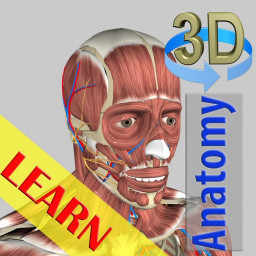 دانلود 3D Bones and Organs (Anatomy)