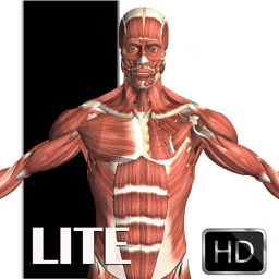 دانلود Visual Anatomy Lite