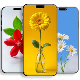 دانلود Aesthetic Flower Wallpapers hd