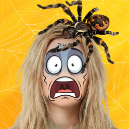 دانلود Bugzz: Insect Prank Filters