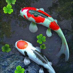دانلود Water Garden Live Wallpaper دانلود Water Garden Live Wallpaper