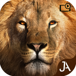 دانلود Safari: Online Evolution