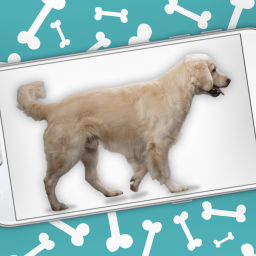 دانلود Dog on Screen Woof Woof Joke