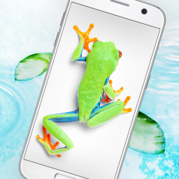 دانلود Frog walking on screen joke