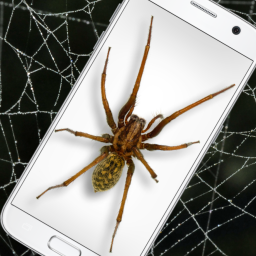دانلود Spider in Phone Funny Joke