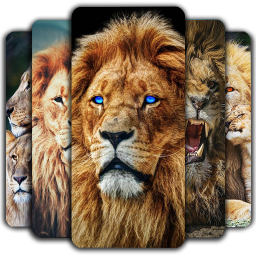 دانلود Lion Wallpaper