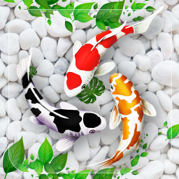 دانلود Fish Live Wallpaper 3D Touch
