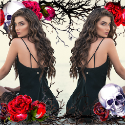 Mirror Image: Photo Collage Ma
