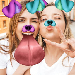PIP Camera Effects: Face Camera & Photo Collage