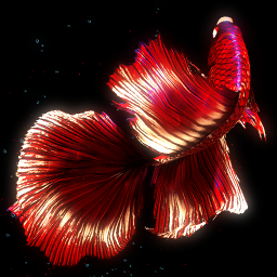 دانلود BETTA 120HZ