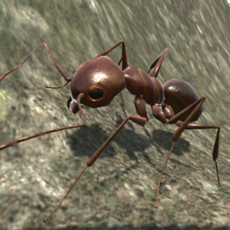 دانلود Ant Simulation 3D دانلود Ant Simulation 3D
