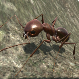 دانلود Ant Simulation 3D