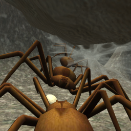 دانلود Spider Nest Simulator - insect