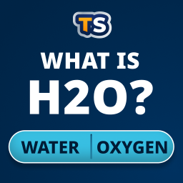 دانلود Triviascapes: IQ & brain test