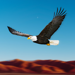 دانلود Bird Race Game 3D: Eagle Games