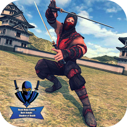Dark Cover Ninja Dash Knight