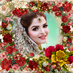 دانلود Rose Flower Photo Frame