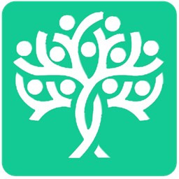 دانلود شجره نامه صنوبر