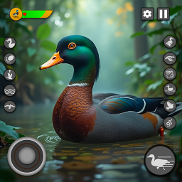 دانلود Virtual Duck Family Game 3D