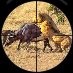 دانلود Animals Hunting Gun Games 3D