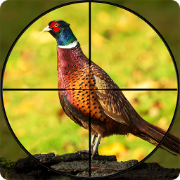 دانلود Pheasant Shooter Birds Hunting