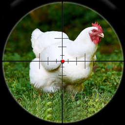 دانلود Chicken Hunting Challenge Game