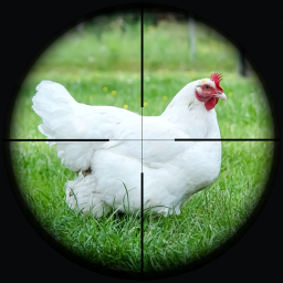 دانلود Chicken Shoot Sniper Hunting