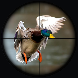 دانلود Duck Hunting Wild Adventure