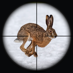دانلود Rabbit Hunting Sniper Shooting