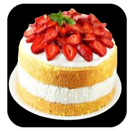 دانلود طرز تهیه انواع کیک