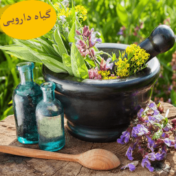 دانلود کتاب خواص گیاهان دارویی طب سنتی کامل