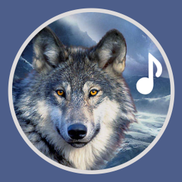 دانلود Wolf Ringtones: Howling Sounds