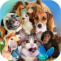 دانلود Animal Sticker - WAStickersApp