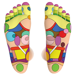 دانلود Foot Reflexology Chart