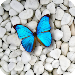 دانلود Stone Wallpapers 4K