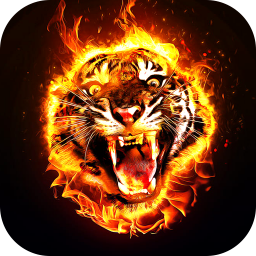 دانلود Fire Wallpaper 2025