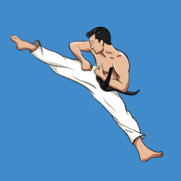 دانلود Mastering Taekwondo at Home