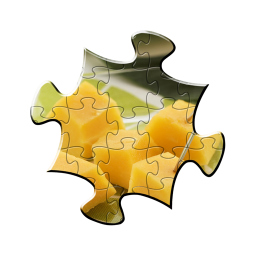 Jigsaw Puzzles