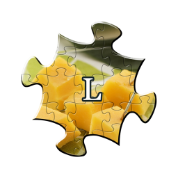 دانلود Jigsaw Puzzles - Landscape